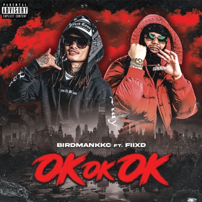 OK OK OK (feat. FIIXD) - Single