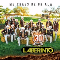 Como Todo El Tiempo