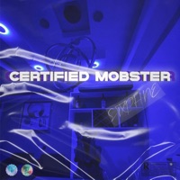 CERTIFIED MOBSTER - STXPHNE