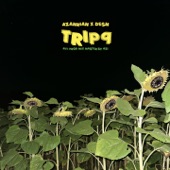 tripq - EP artwork