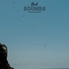 Bird Sounds To Sleep To Relax To - EP