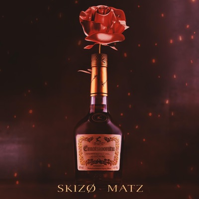 ”emotsioonitu” (feat. Matz) - Single