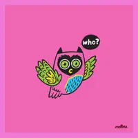 I Saw My Soul — Luca Olivotto