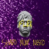 FLEXED UP (feat. Shado Za & NestoTheFuture) - Single - MCNP