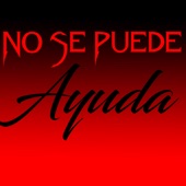 No Se Puede Ayuda artwork