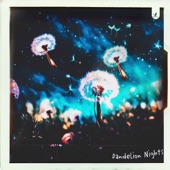 Dandelion Nights artwork