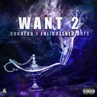 Want 2 (feat. Enlightened Ones) - Single - GunnerB