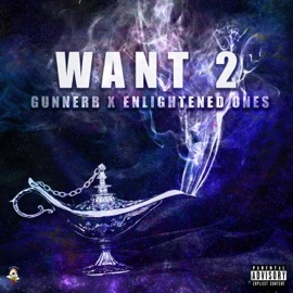 Want 2 (feat. Enlightened Ones) GunnerB