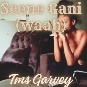 Scene Gani