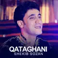 Qataghani