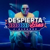 Despierta Bien - Single