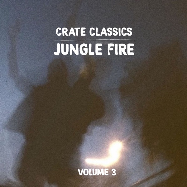 Jungle Fire Vol 3 - EP