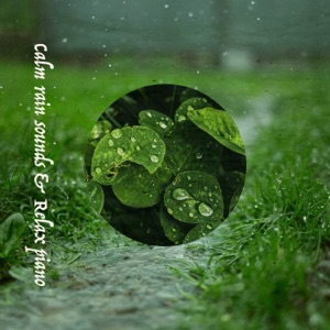 Calm Rain Sounds & Relax Piano (feat. Mihoro Miura)