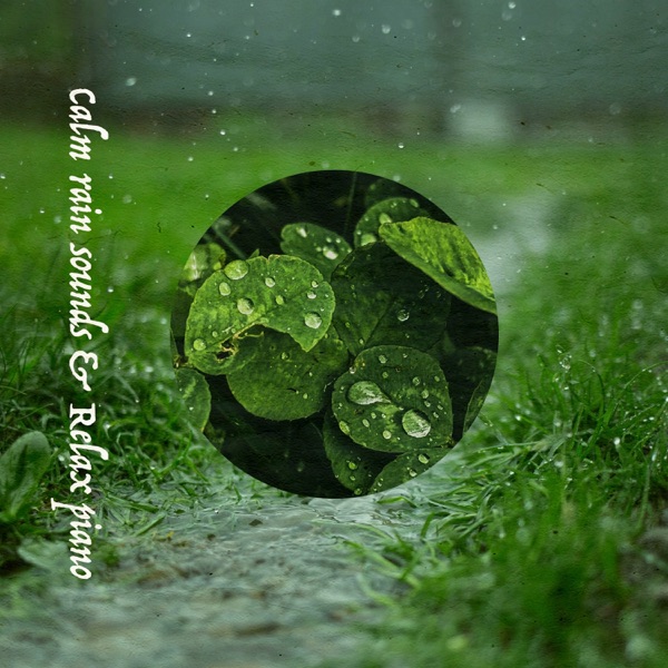 Calm Rain Sounds & Relax Piano (feat. Mihoro Miura)