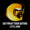 Say What Your Saying - Single