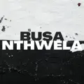 Busa nthwela