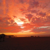 Prendido (feat. Bxnsay) - Single - Vatoloko mc