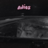 Adios - Single - Young Lungs