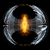 Dark Matter - Pearl Jam Cover Art