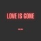 Love is Gone - Ben Cina lyrics