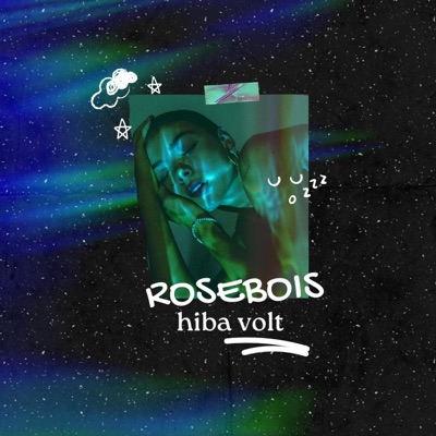 Hiba volt (feat. MZIN) - Single