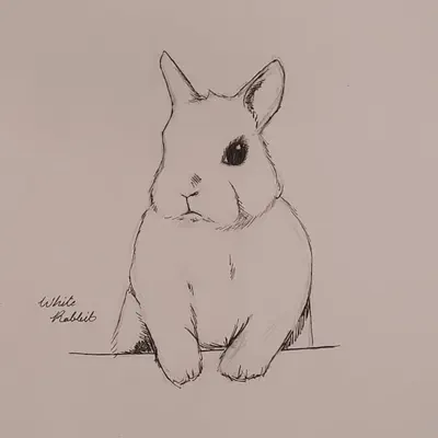 Listen to White Rabbit - Single by Tonguebyte