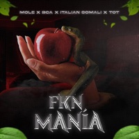 Fkn Mania (feat. Bca, Italian Somali & T.O.T) - Single - Mole