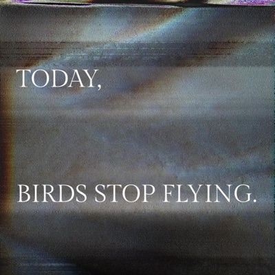 Today, Birds Stop Flying. - EP