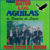 Puros Éxitos Del Rancho (feat. Merce Bojorquez) - Los Aguilas De Sinaloa & Jose Mercedes Bojorquez 