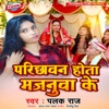 Parichhawan Hota Majanua Ke - Single