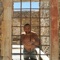 Niet Verloren - Don Pavio lyrics