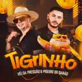 Tigrinho