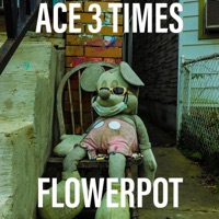 Flowerpot - Single - Ace 3 Times