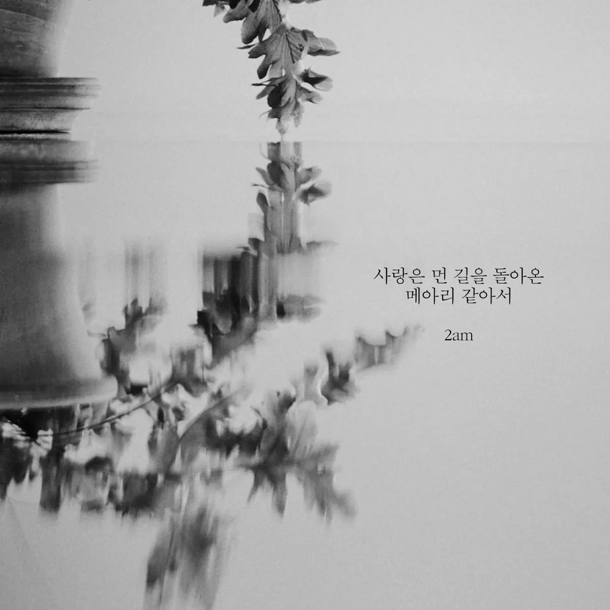 2AM - Echoes of Love's Journey - Single (2024) [iTunes Plus AAC M4A]-新房子