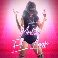 El Amor - Single - Mestiza