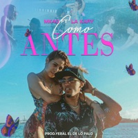 Como Antes (feat. La Kary & Yeral El De Lo Palo) - Single - MK40