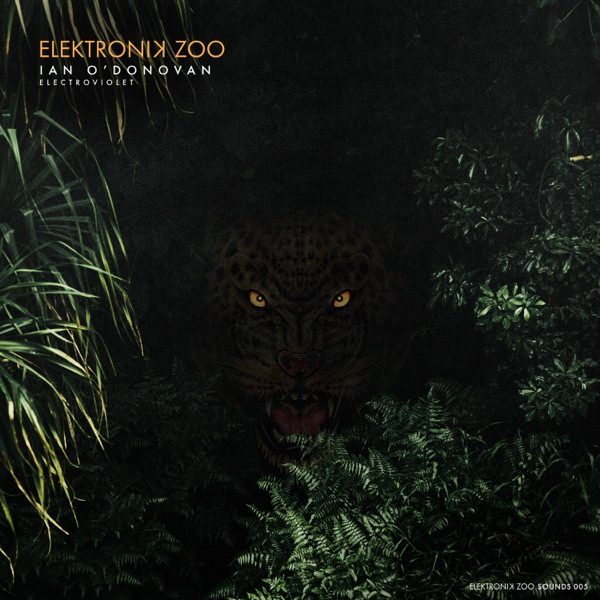 Electroviolet - Single