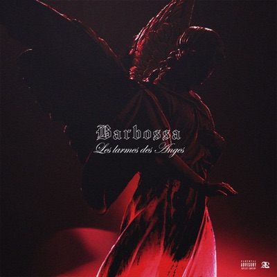 Les larmes des Anges - Single