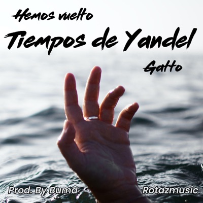 Tiempos de Yandel - Single