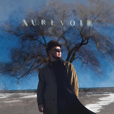 Aurevoir - Single