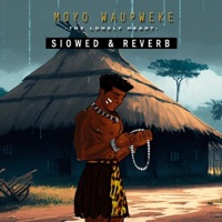 Moyo Waupweke (Slowed and Reverb) - Lofi Afrobeats