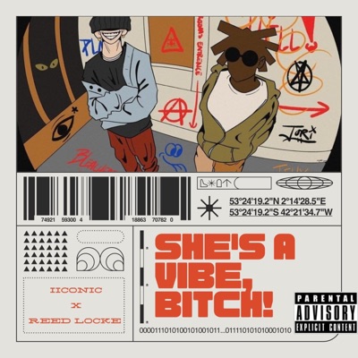 she's a vibe a bitch! (feat. Reed Locke) - Single