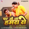 Pat Jo Hamara Se - Single