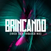 BRINCANDO (TRIBALOSO MIX) - Single