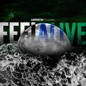 Franklin Gotham - Feel Alive