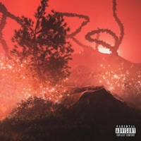 Can't do this again - Single - Xrlx