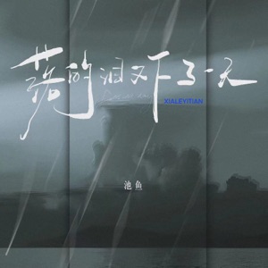 The tears fell another day - Single