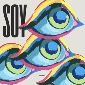 Soy