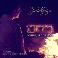 Rachem Acapella (feat. Zevy Giniger & Yosef Giniger) - Single - Yechiel Giniger