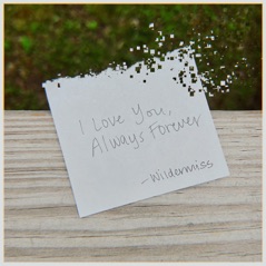 I Love You Always Forever - Single